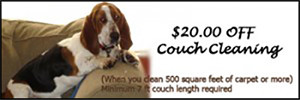 $20 Off Couch Cleaning